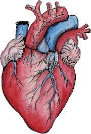 Heart of Inman